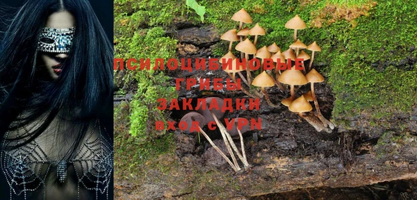 молекула духа Заволжск