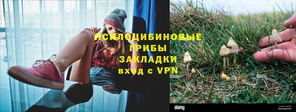 молекула духа Заволжск