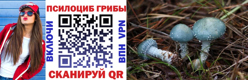 Псилоцибиновые грибы ЛСД  Дальнегорск 