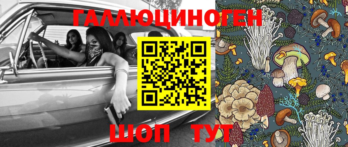 Галлюциногенные грибы Psilocybine cubensis Дальнегорск